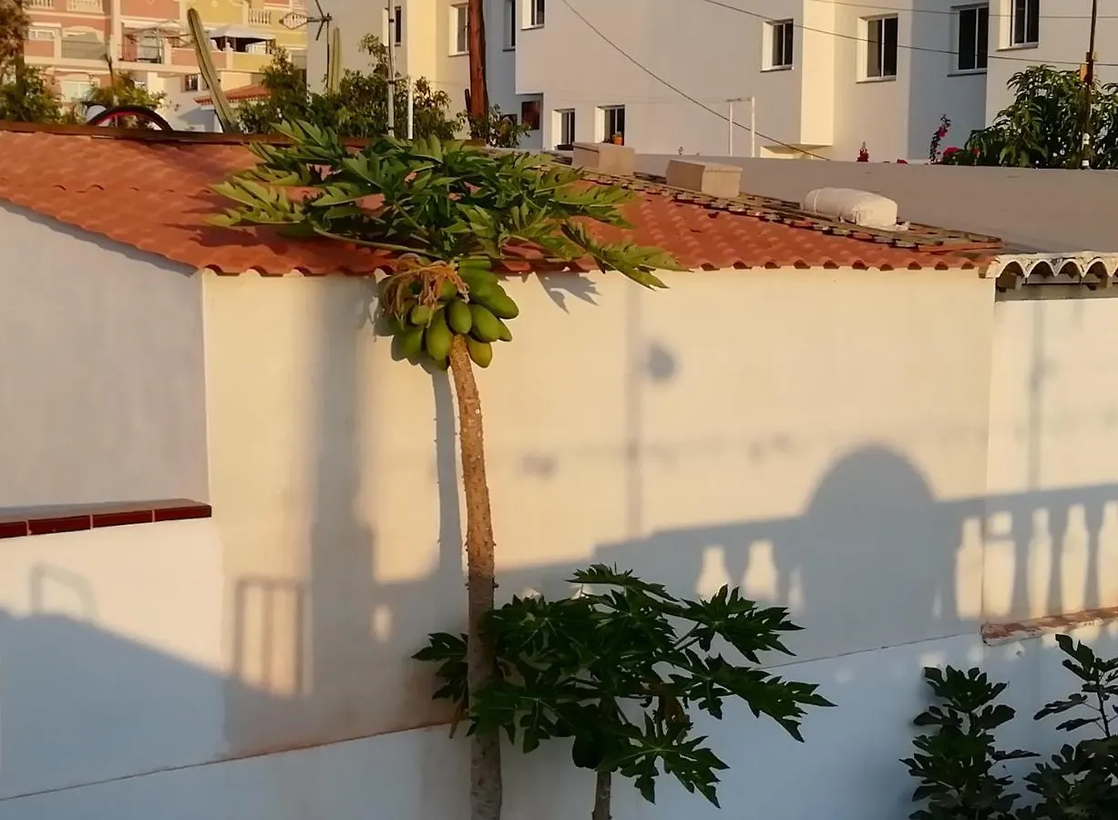 My Little Bungalow Palm-mar 0*,  Espagne